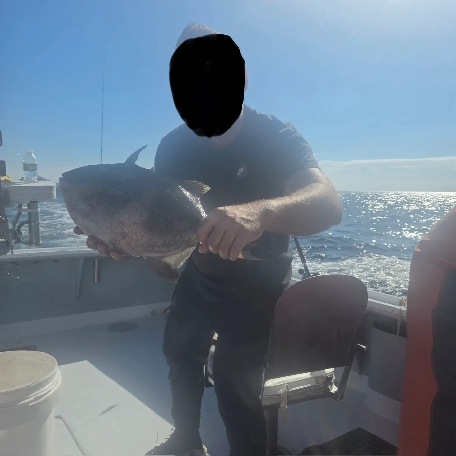 The most recent Grey triggerfish catches on Fishbrain