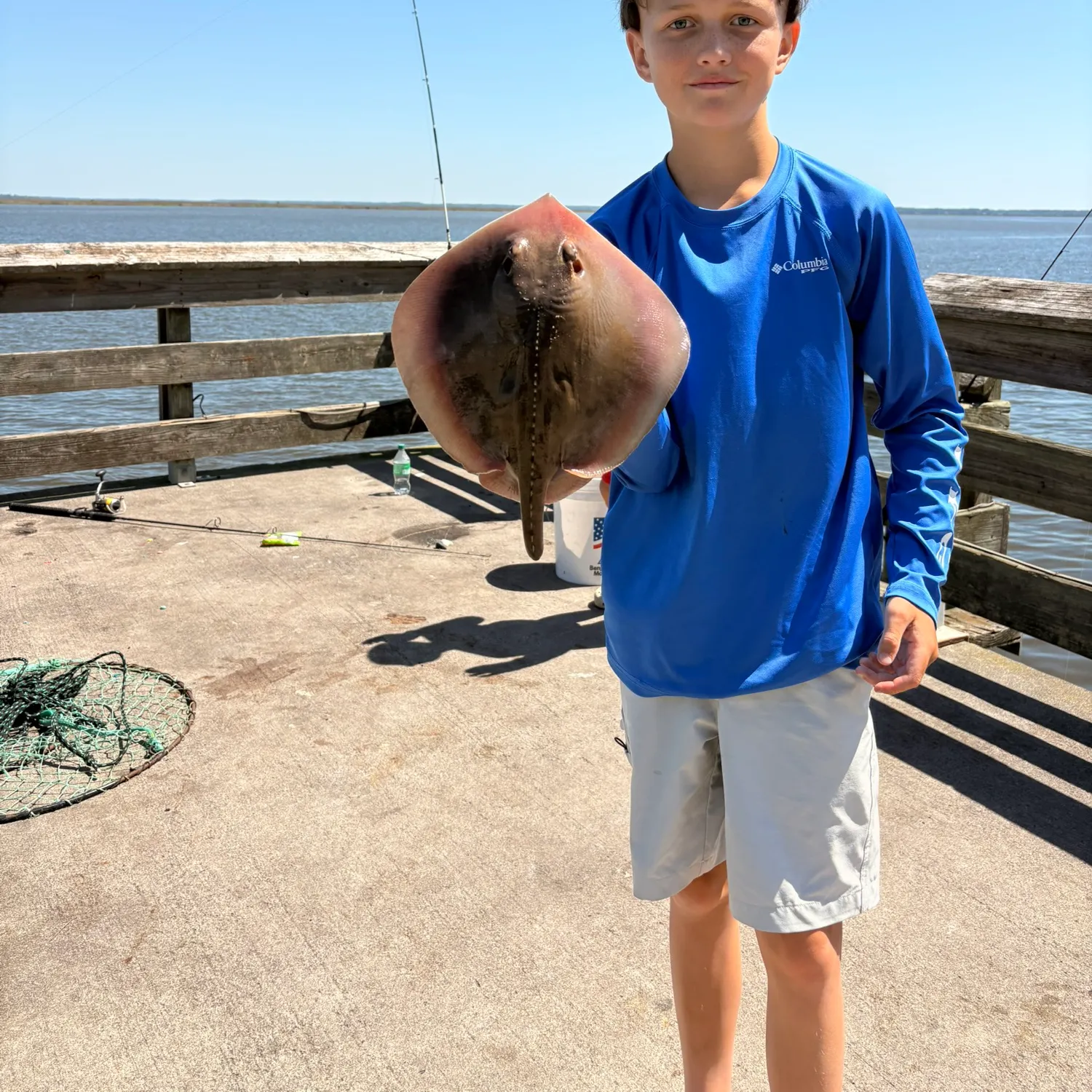 The most recent Atlantic stingray catches on Fishbrain