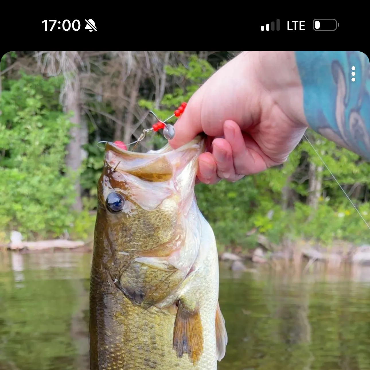 recently logged catches