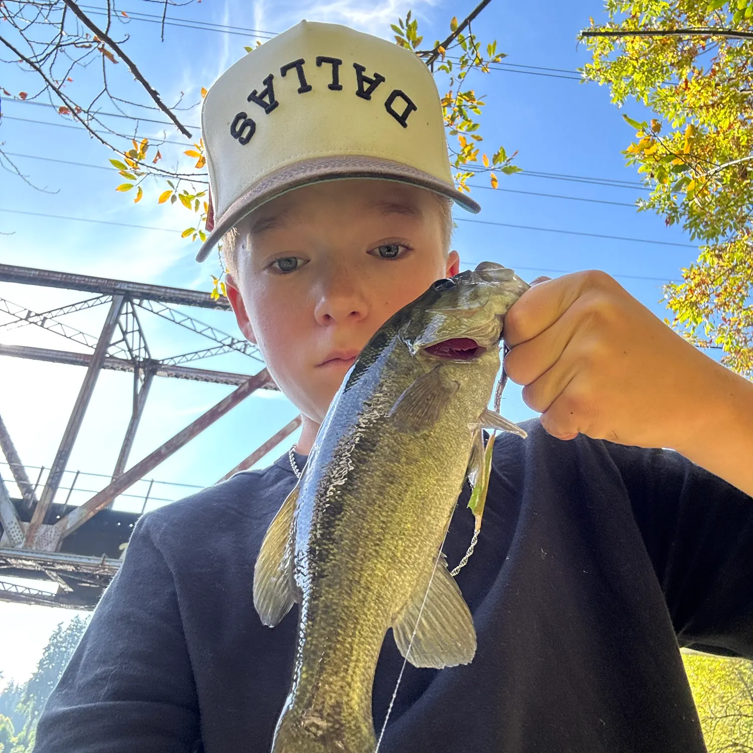 Fish caught on Fishbrain