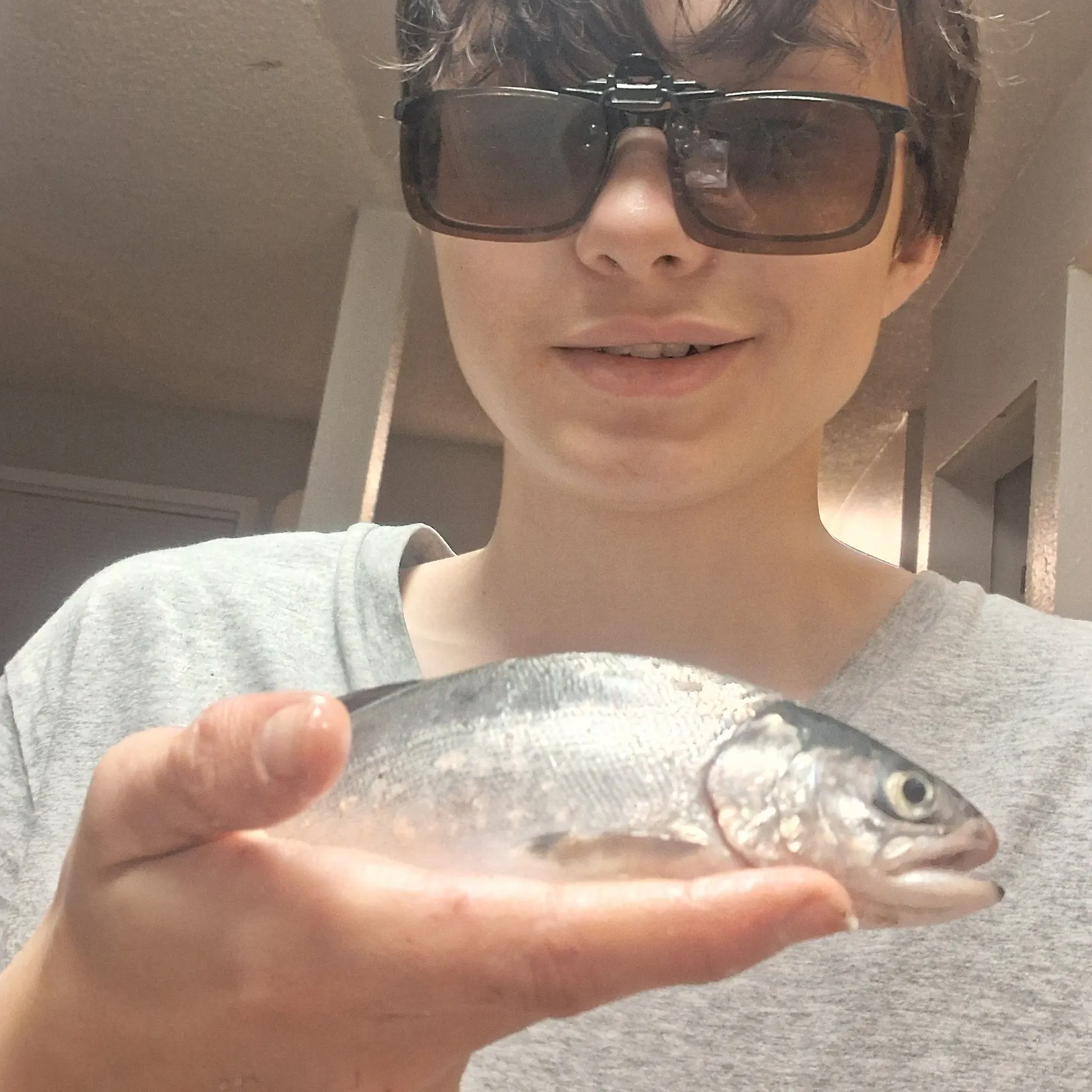 Coho salmon caught on Fishbrain