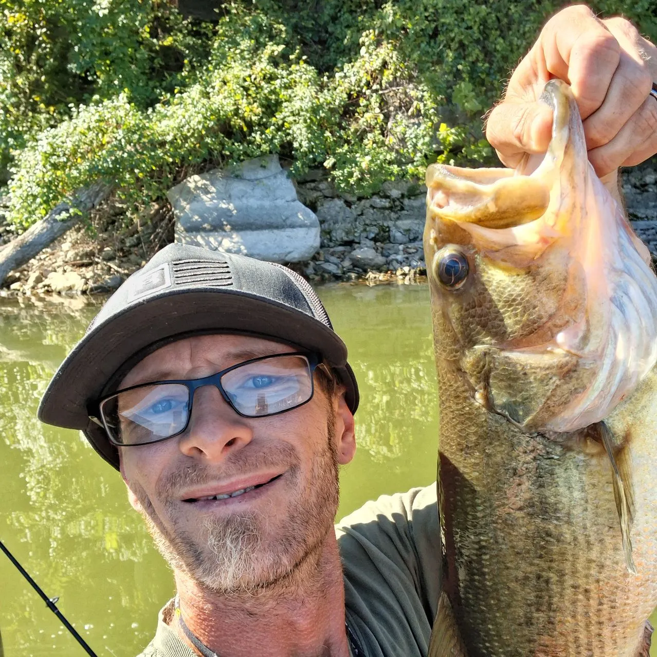 Largemouth bass caught on Fishbrain