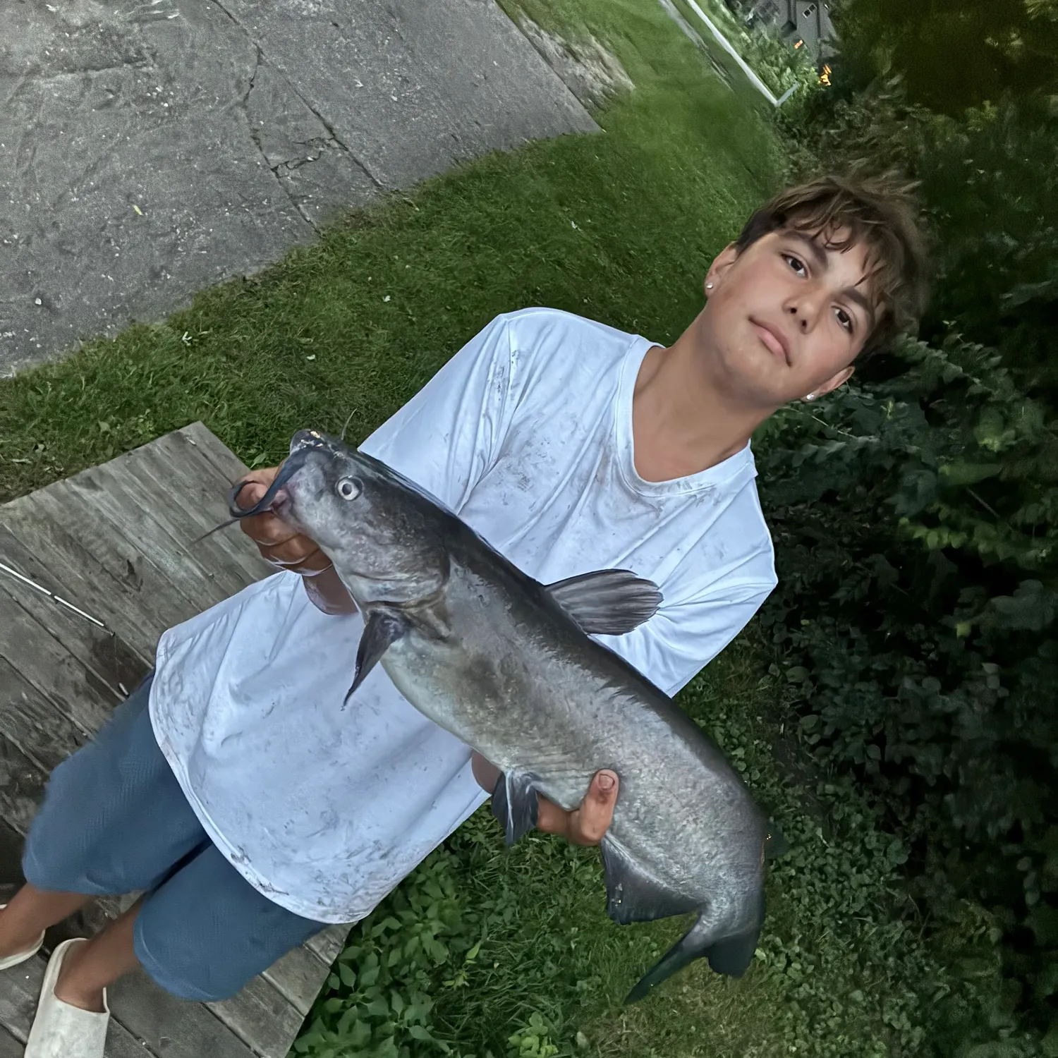 Channel catfish caught on Fishbrain