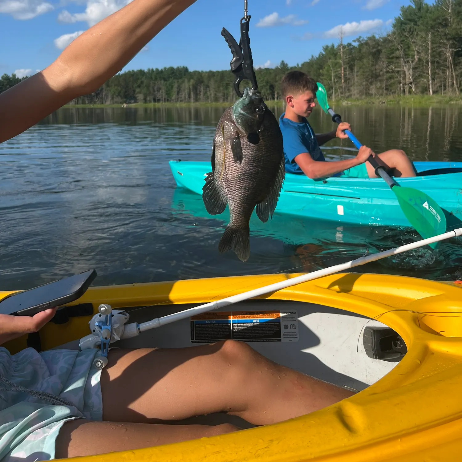 recently logged catches