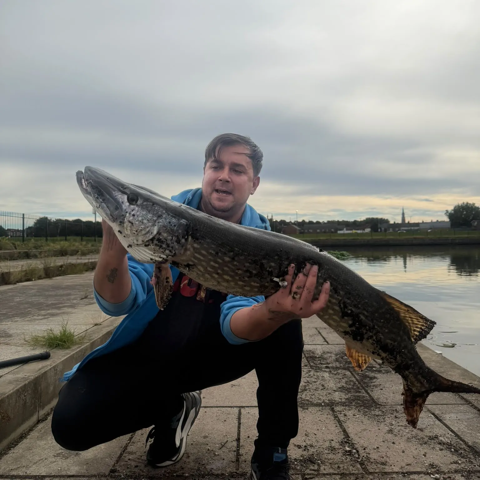 Northern pike caught on Fishbrain