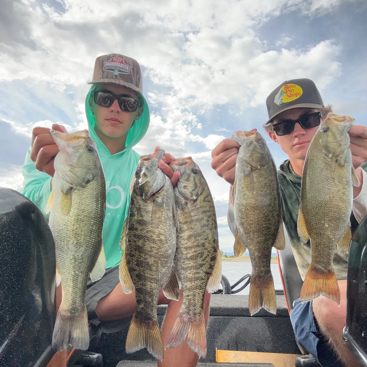 Flathead catfish caught on Fishbrain