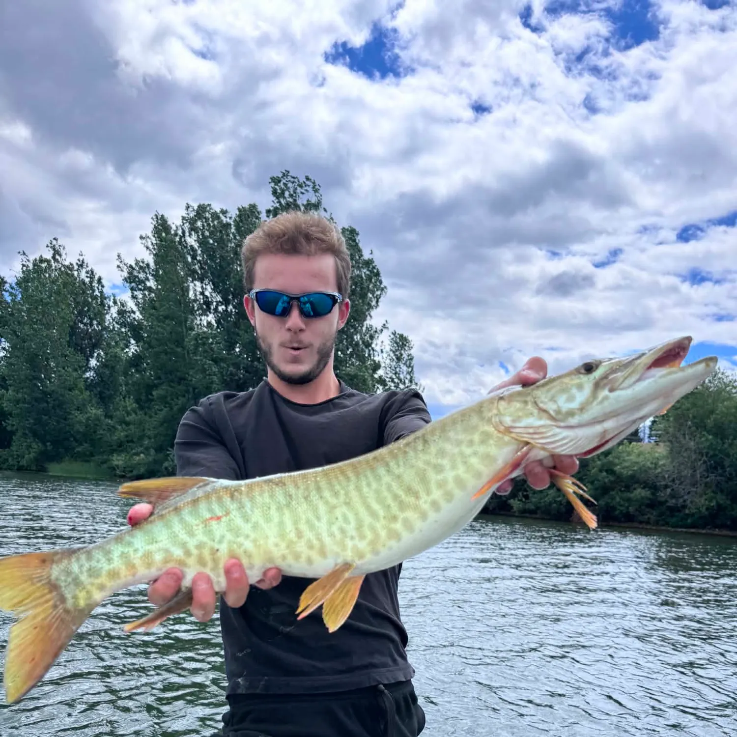 The most recent Muskellunge catches on Fishbrain