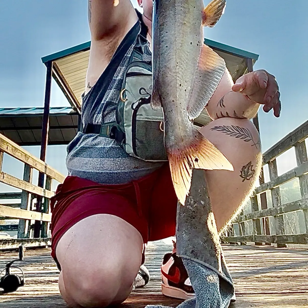 Channel catfish caught on Fishbrain