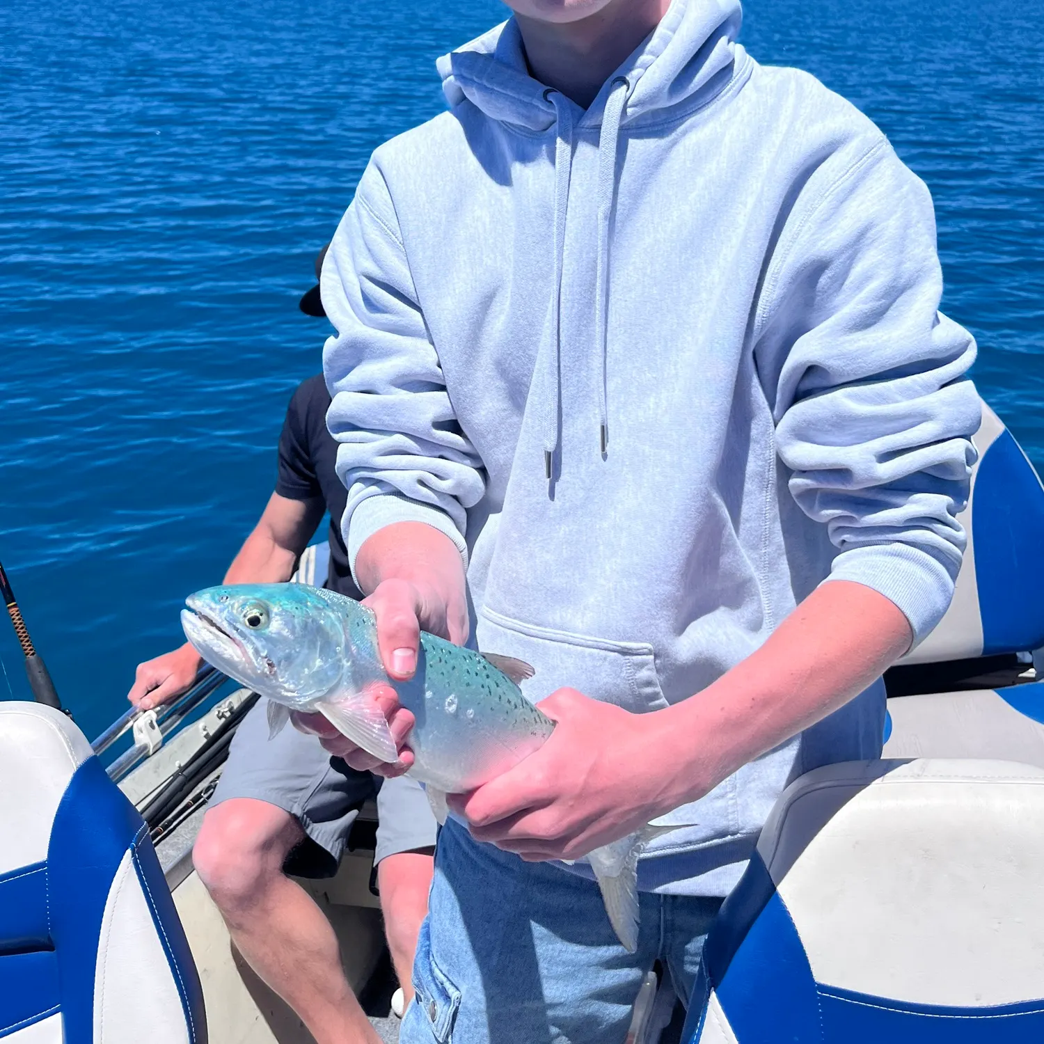 The most recent Bear Lake cutthroat trout catches on Fishbrain