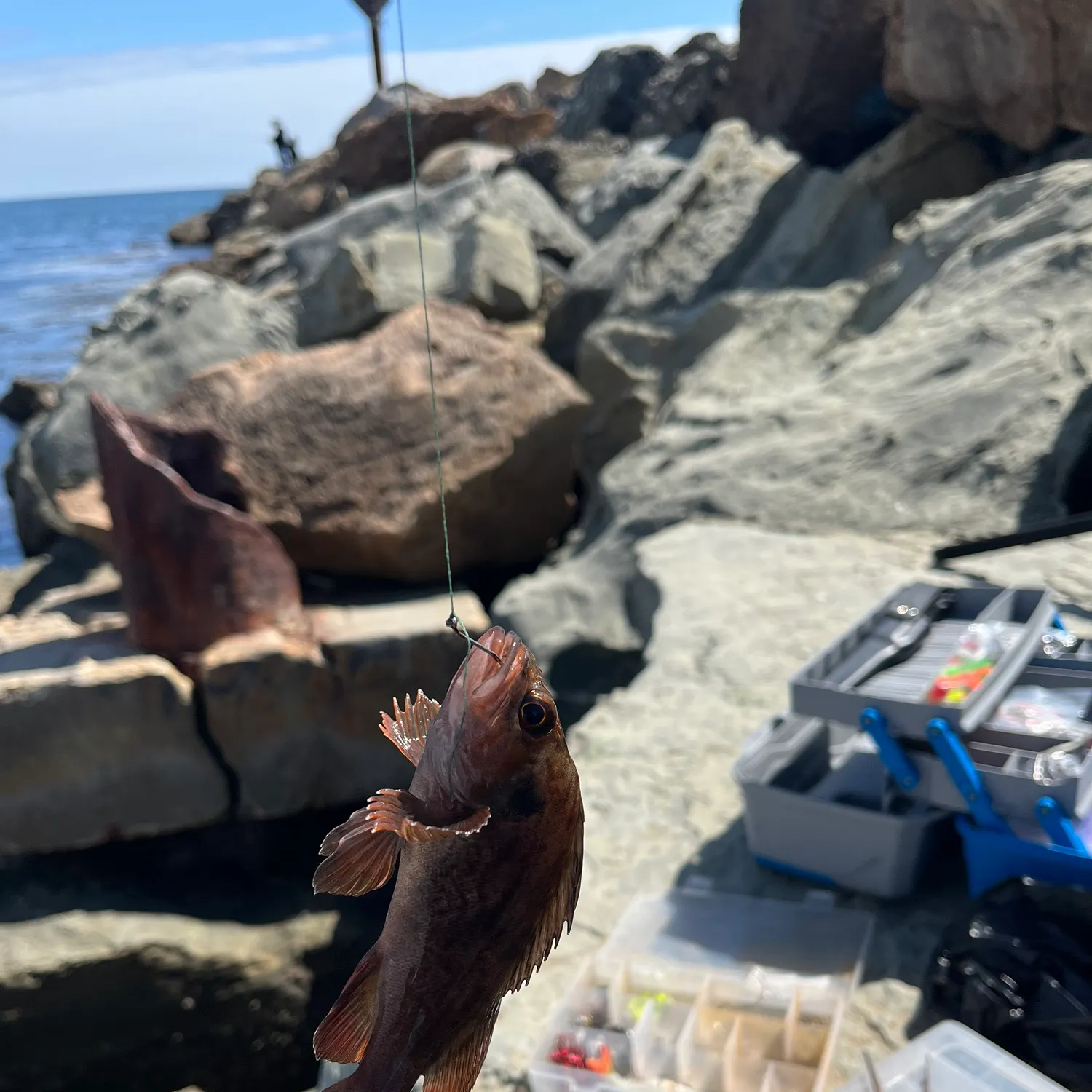 catch