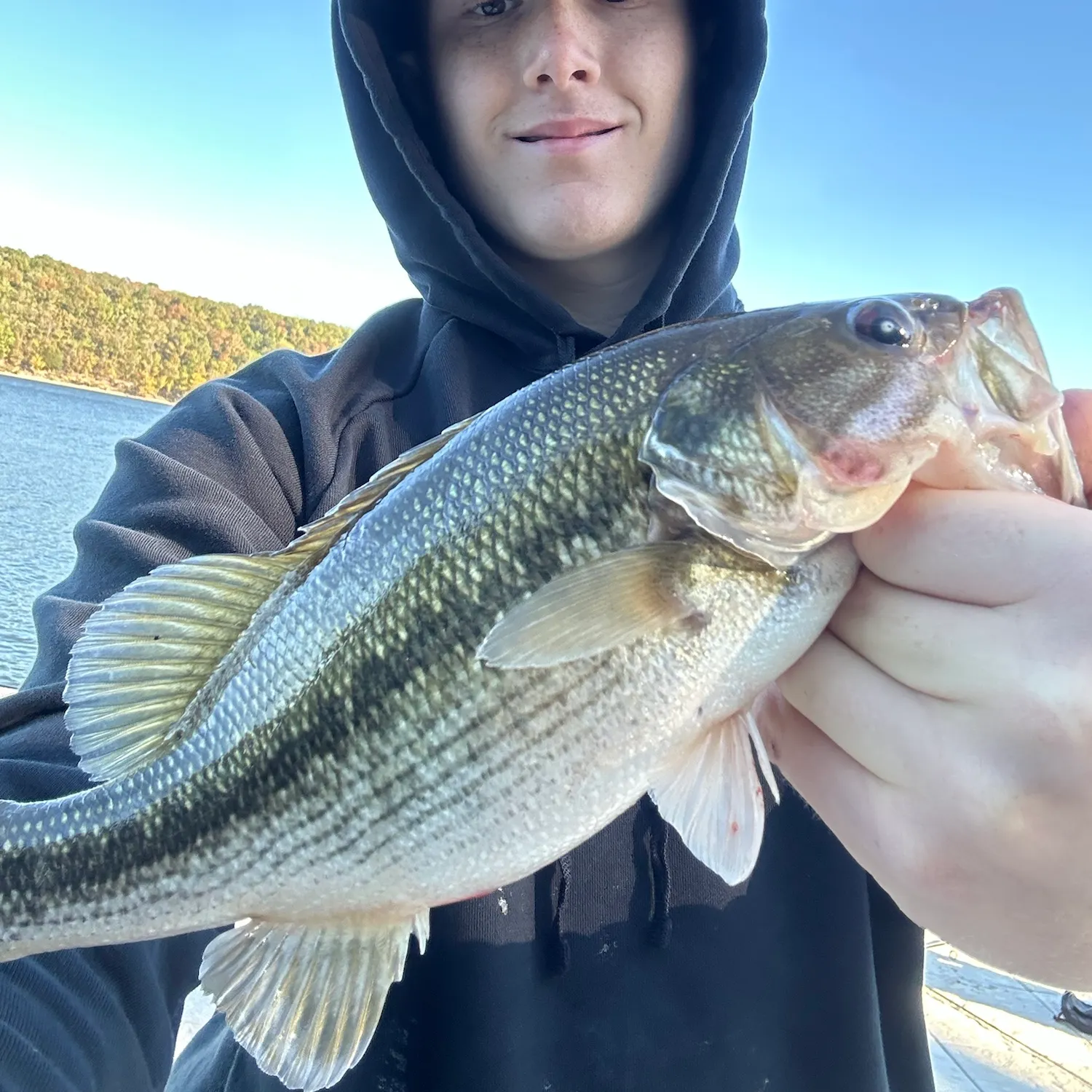 Spotted bass caught on Fishbrain