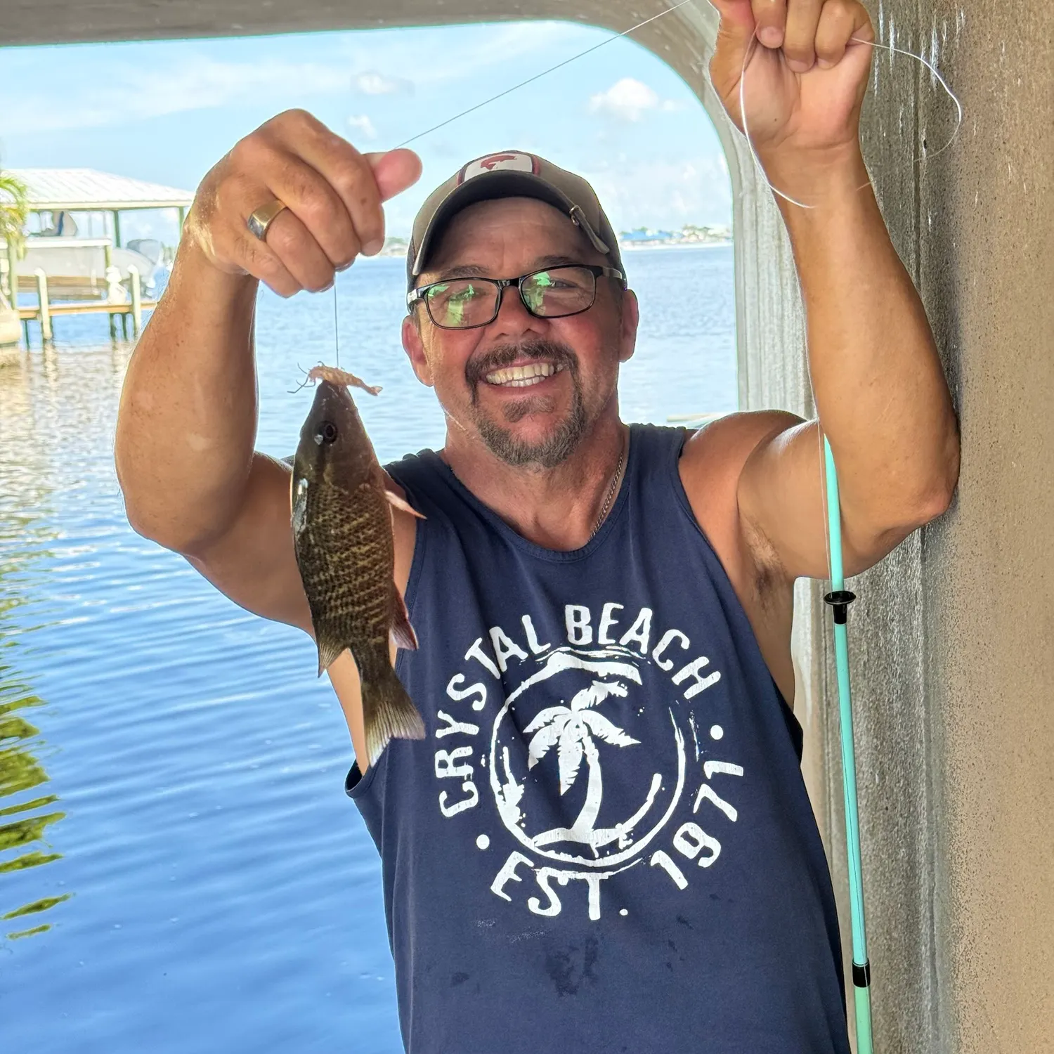 Mangrove snapper caught on Fishbrain