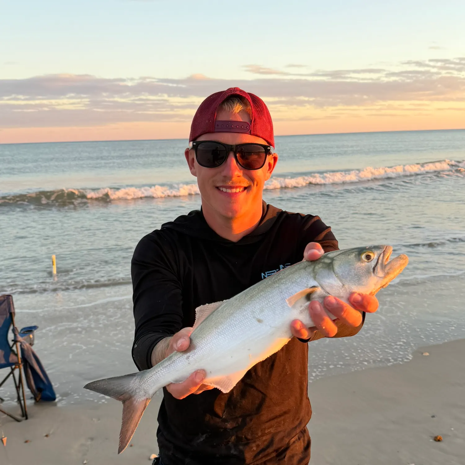 Bluefish caught on Fishbrain