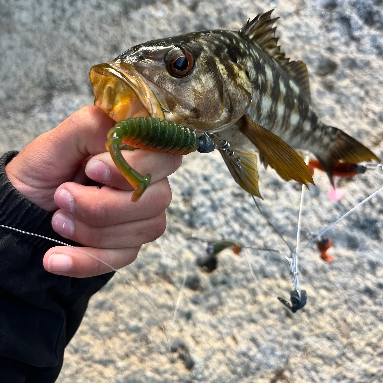 catch
