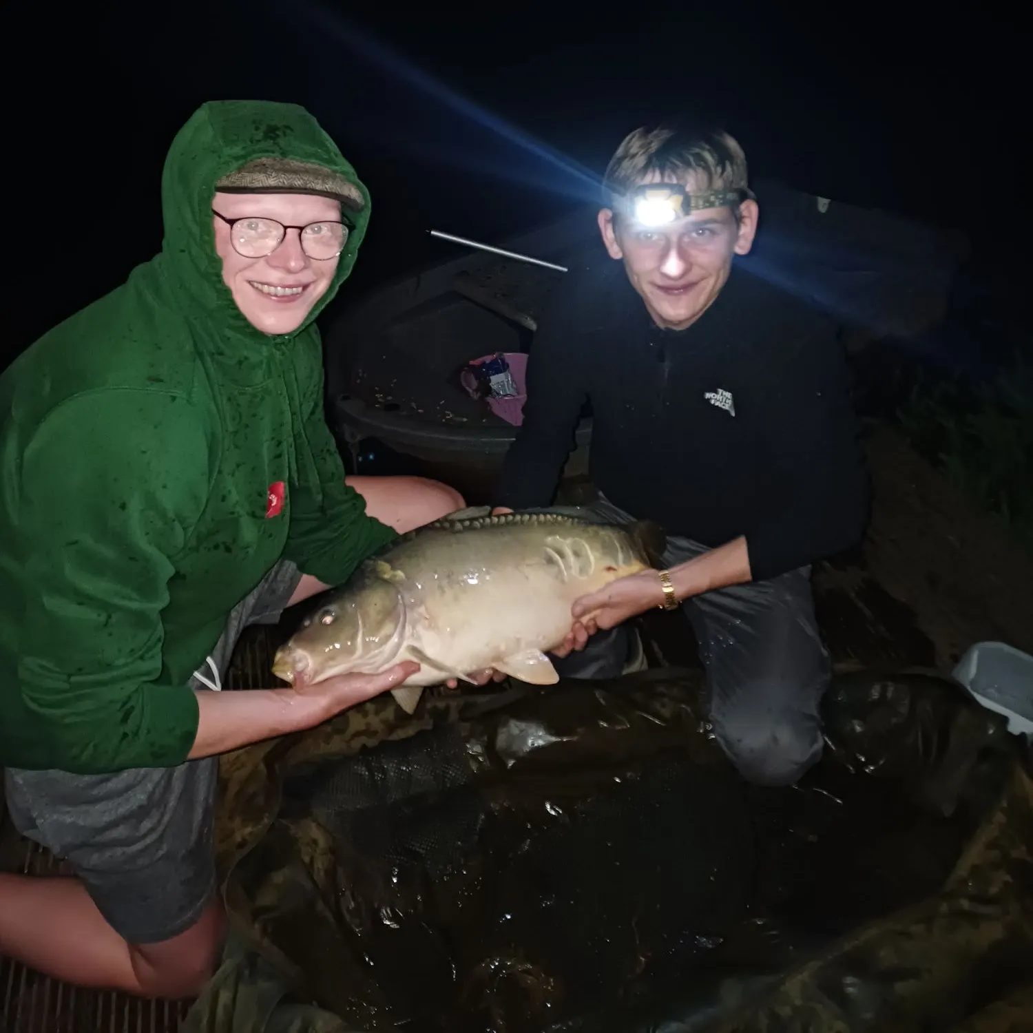Mirror carp caught on Fishbrain