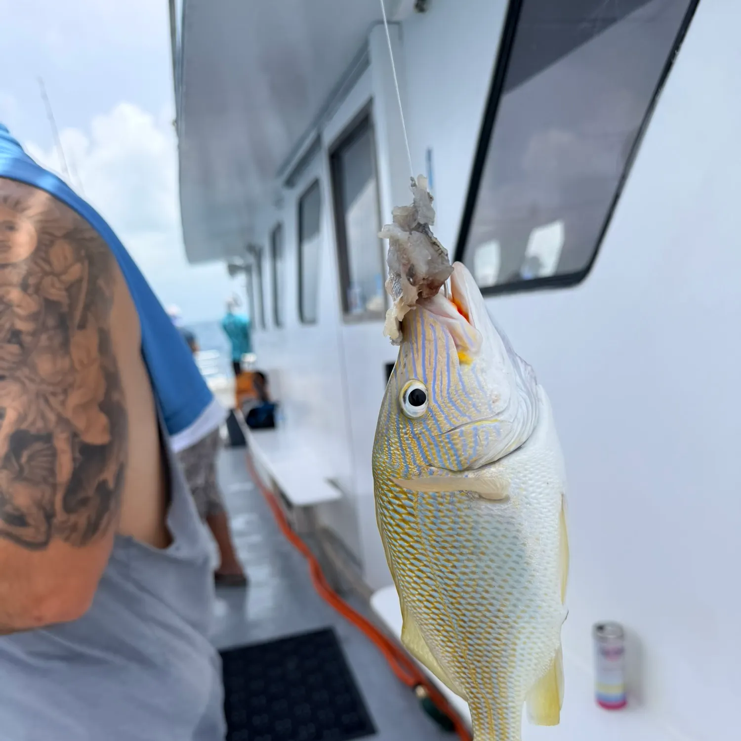 White grunt caught on Fishbrain