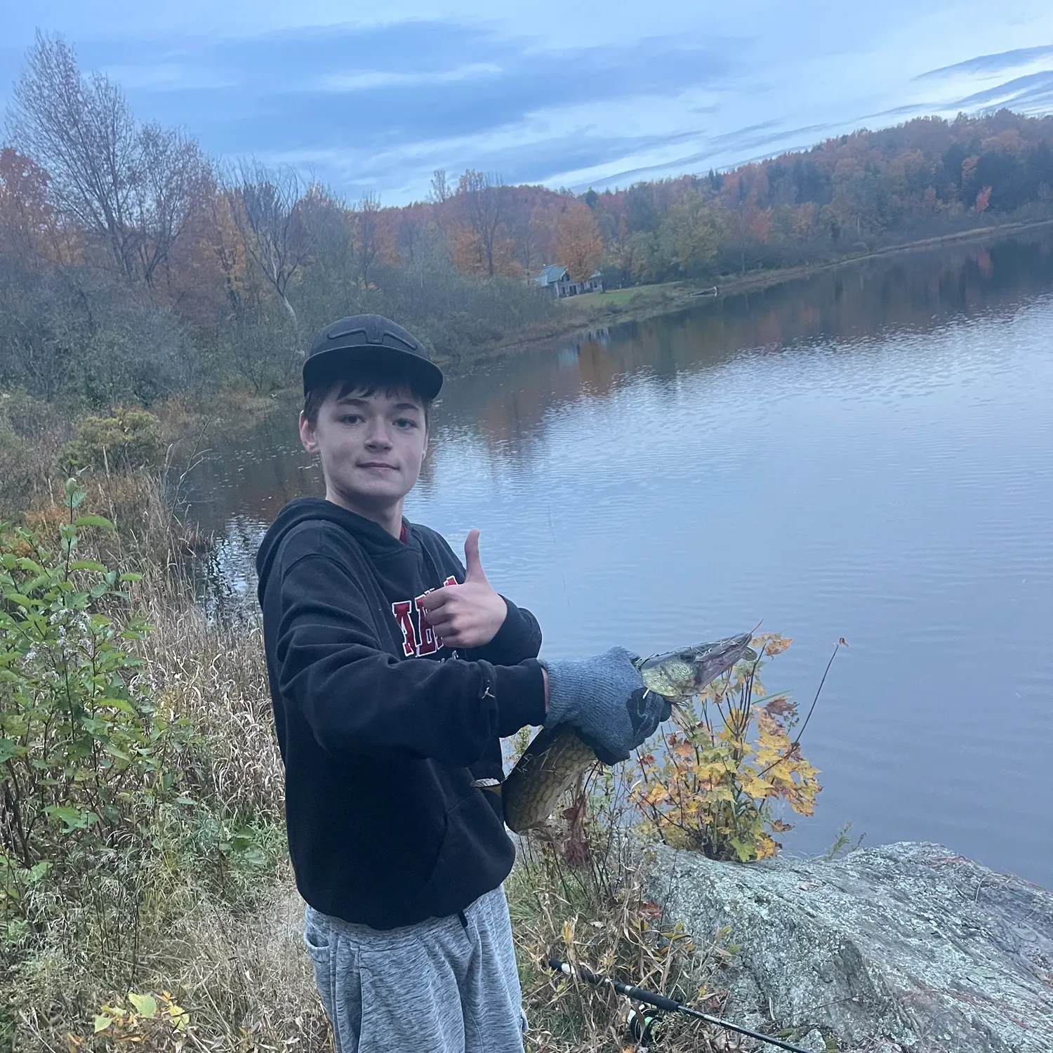 Chain pickerel caught on Fishbrain