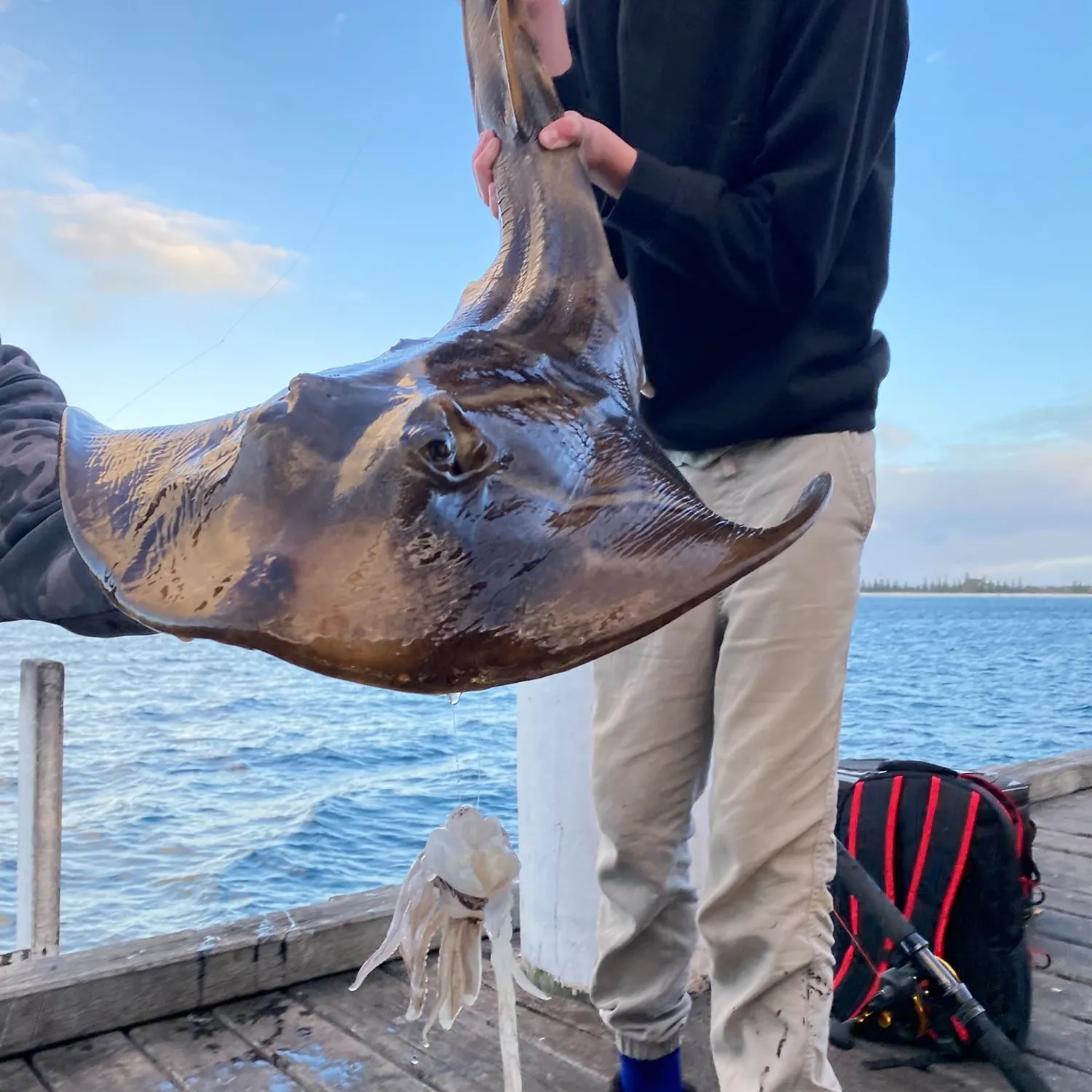 Southern fiddler caught on Fishbrain