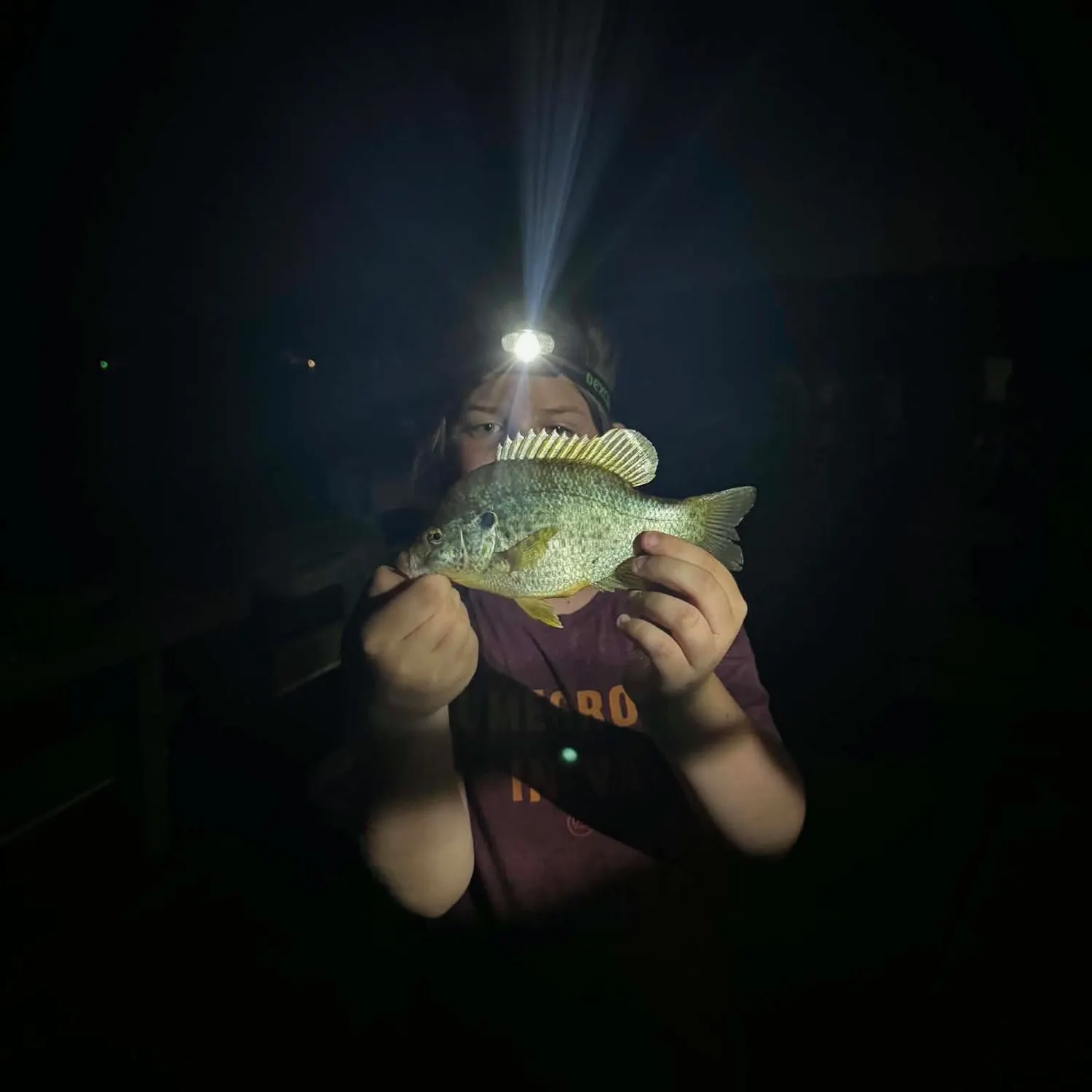 Bluegill caught on Fishbrain