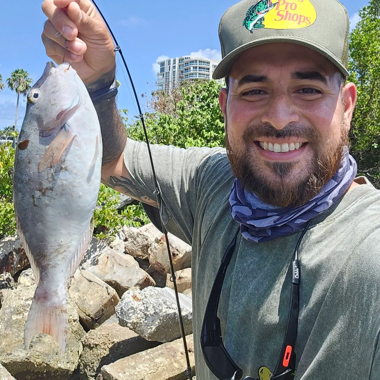 The most recent Redtail parrotfish catches on Fishbrain