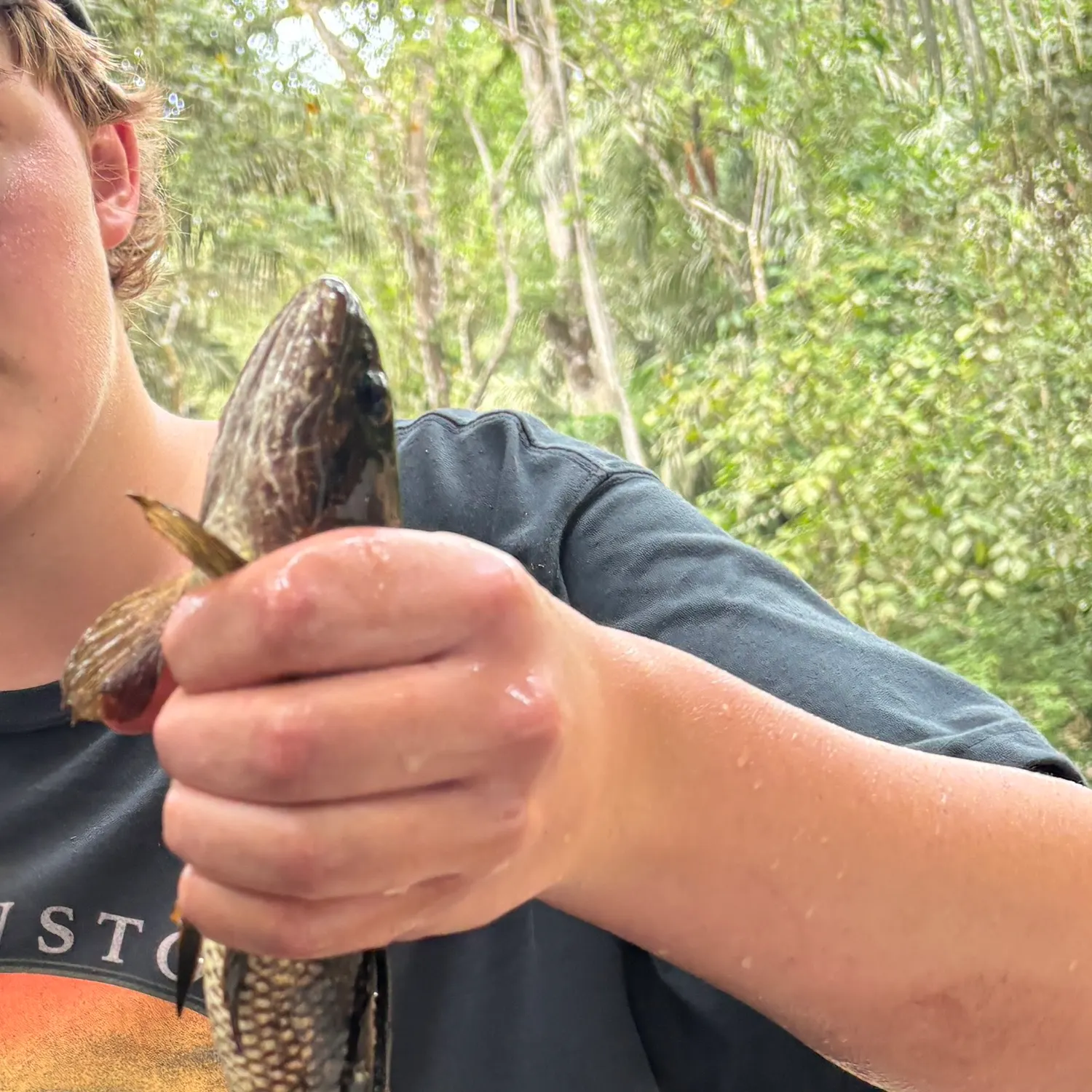 The most recent Trahira catches on Fishbrain