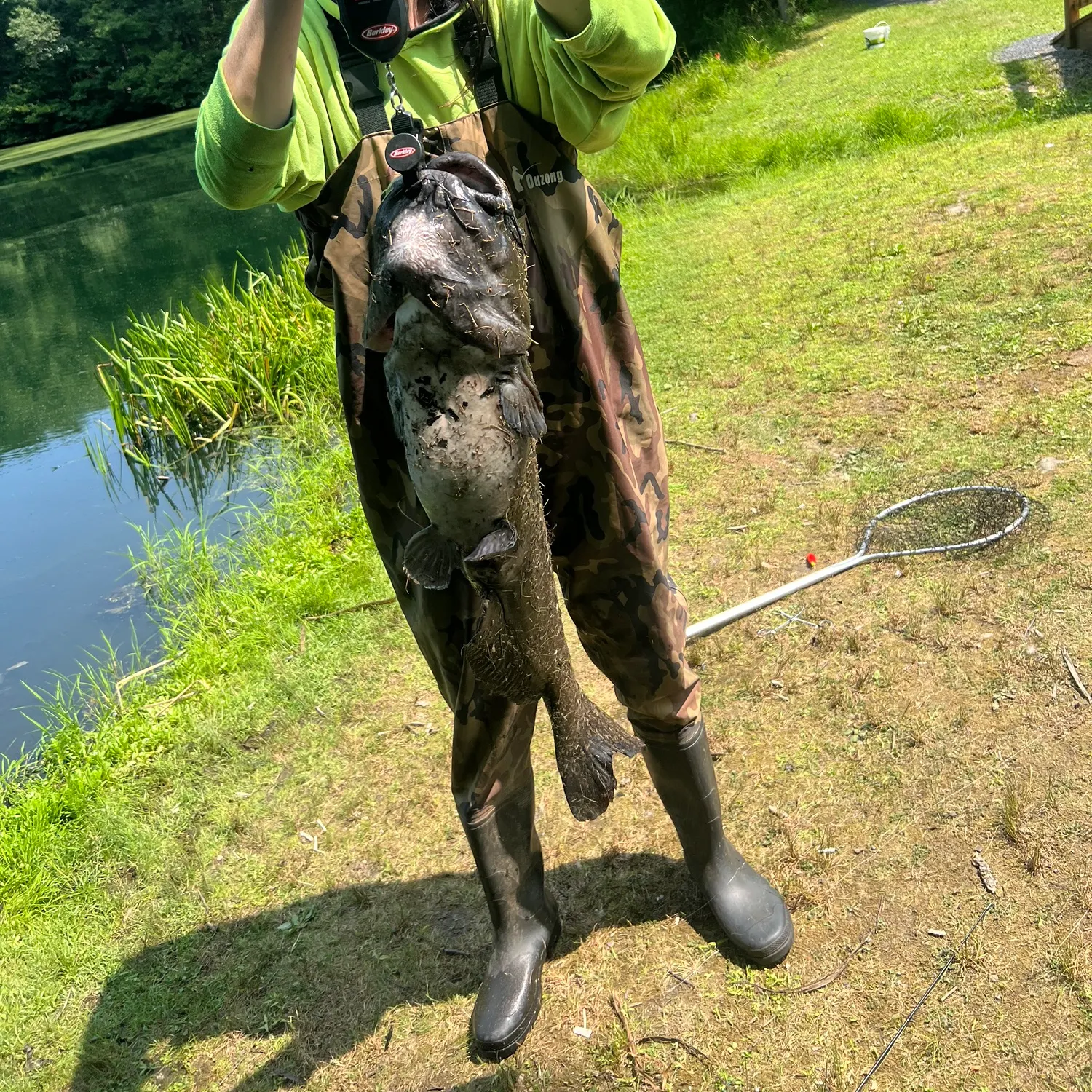 Channel catfish caught on Fishbrain