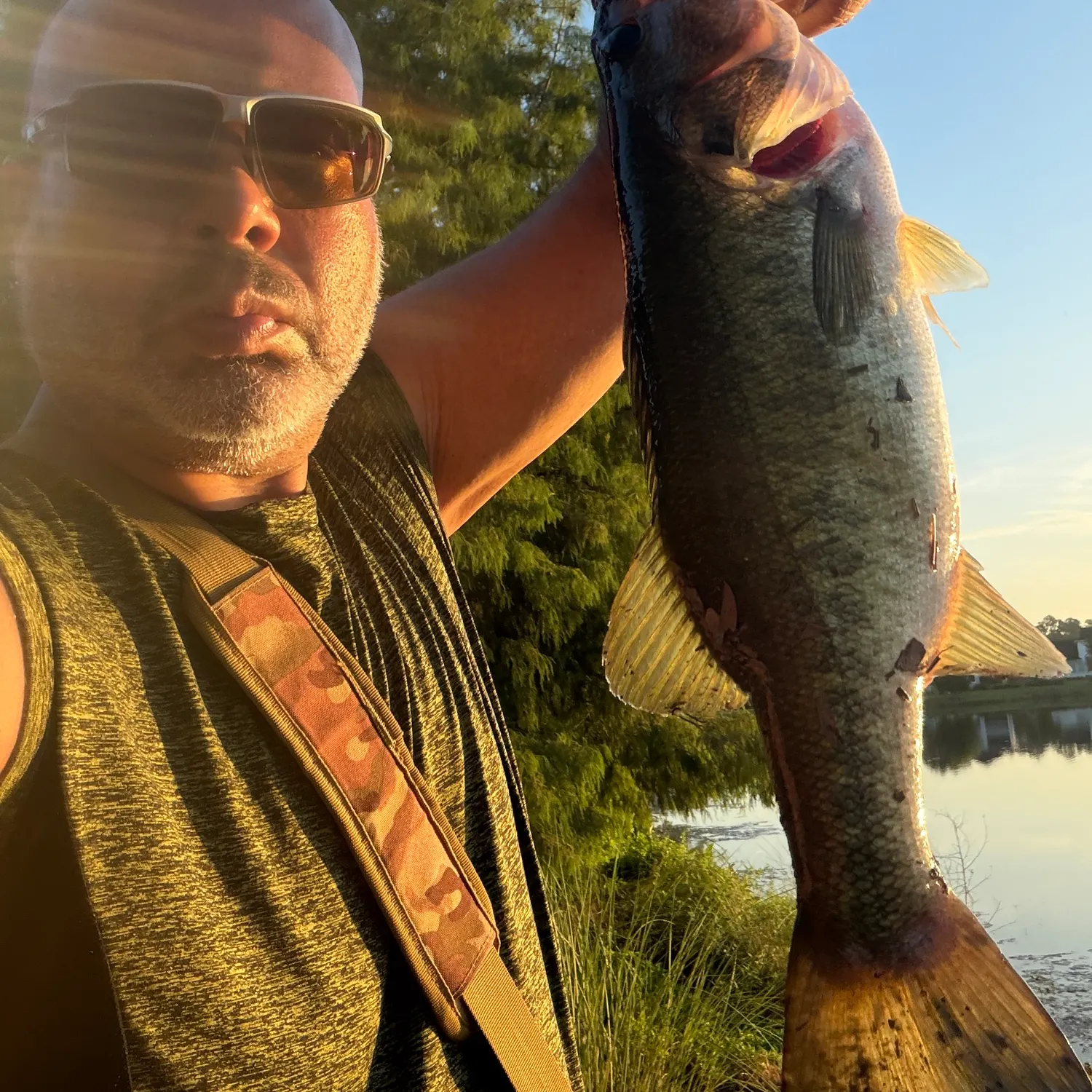 Largemouth bass caught on Fishbrain