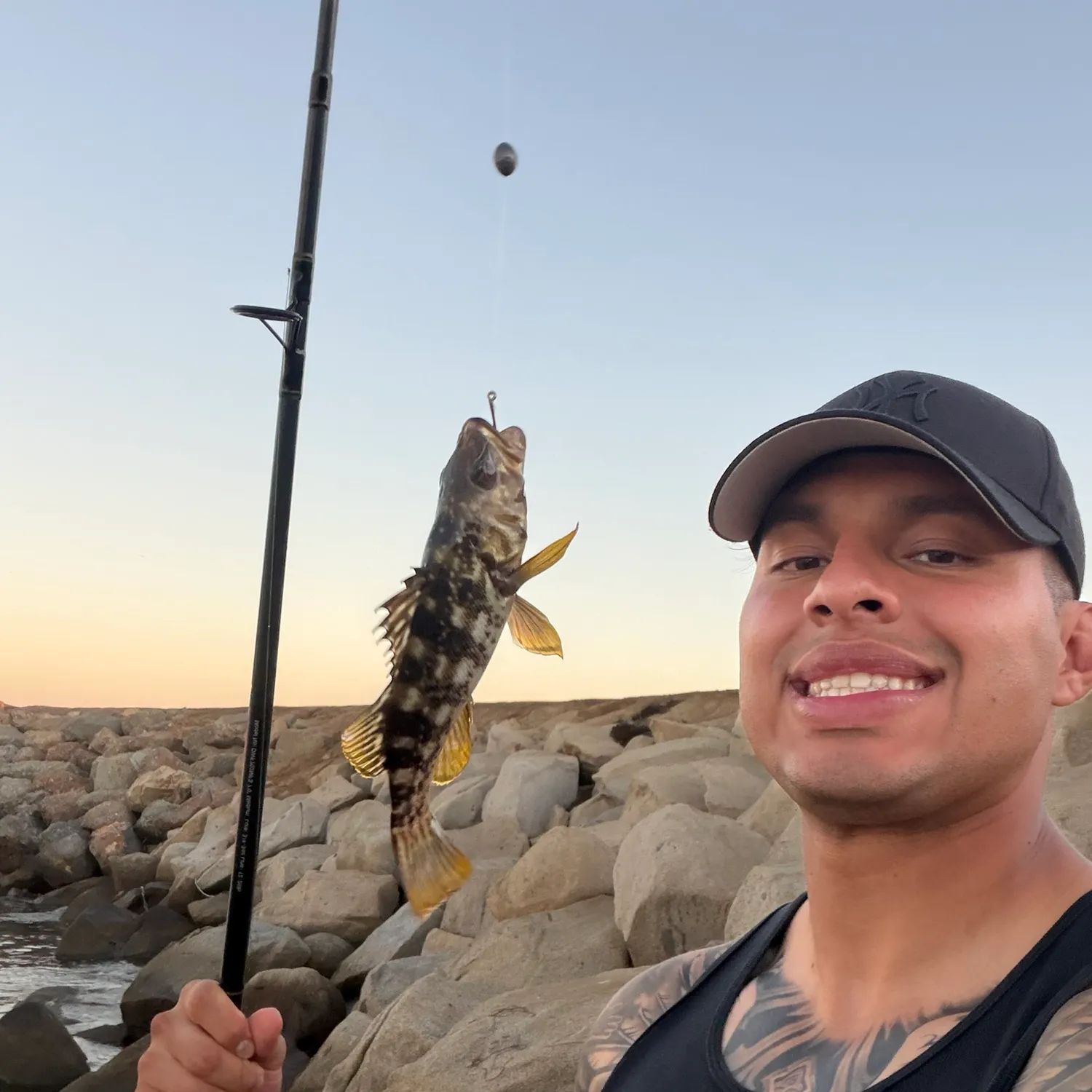 The most recent Kelp bass catches on Fishbrain