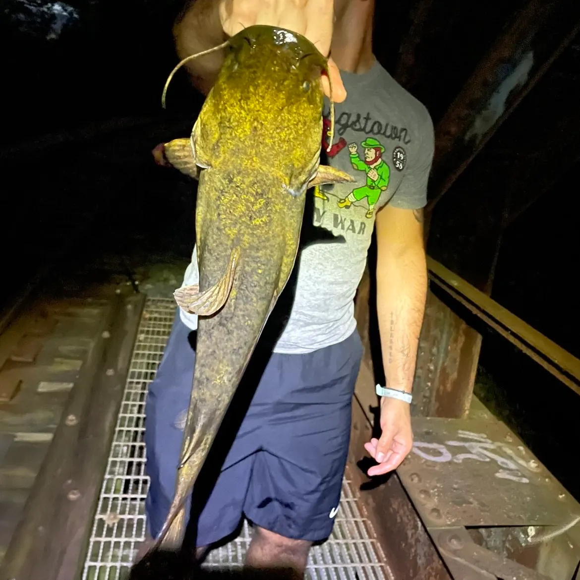 Flathead catfish caught on Fishbrain