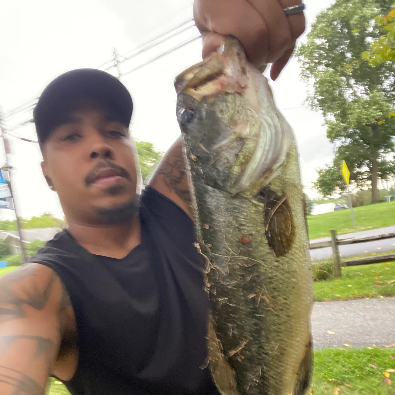 Largemouth bass caught on Fishbrain