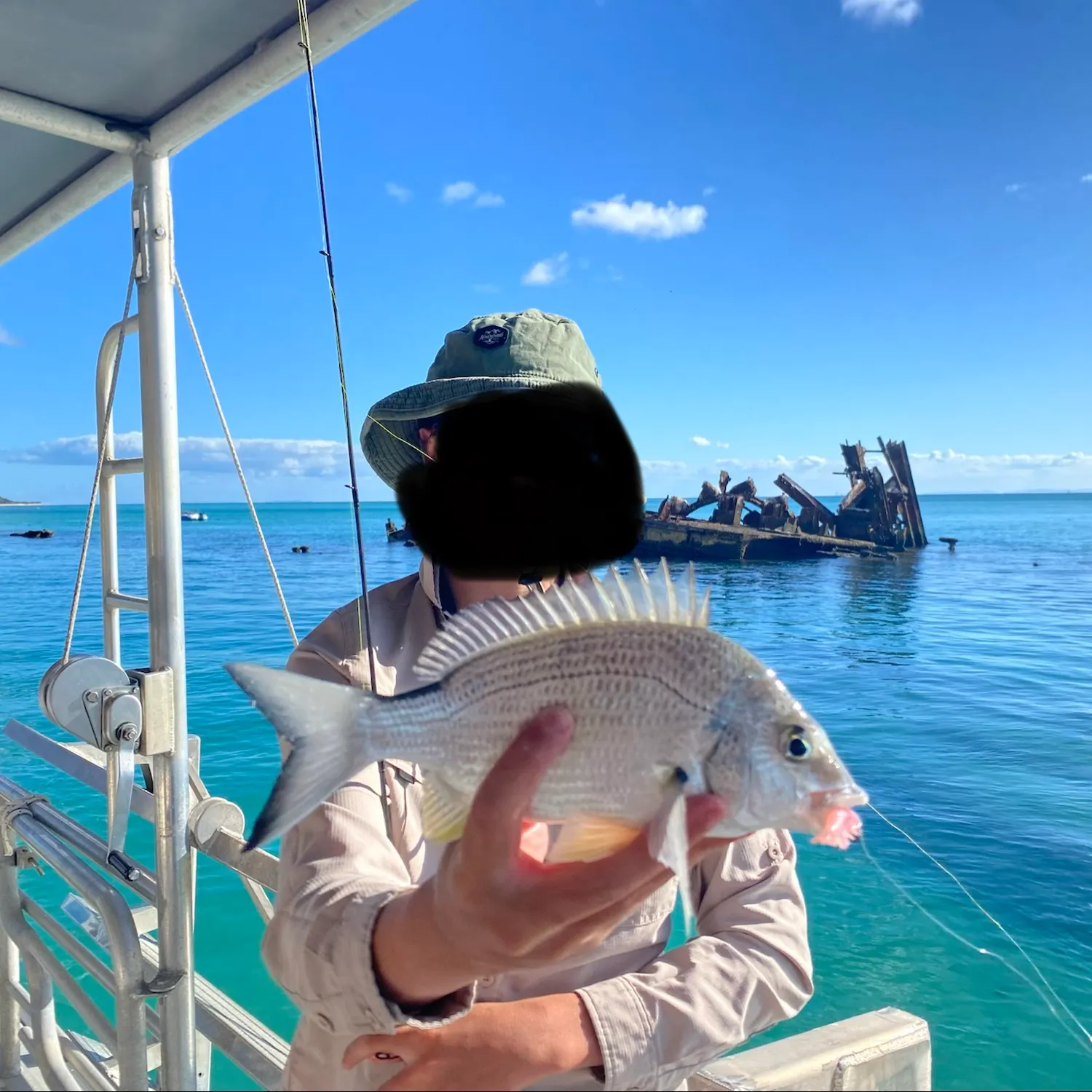 Surf bream caught on Fishbrain