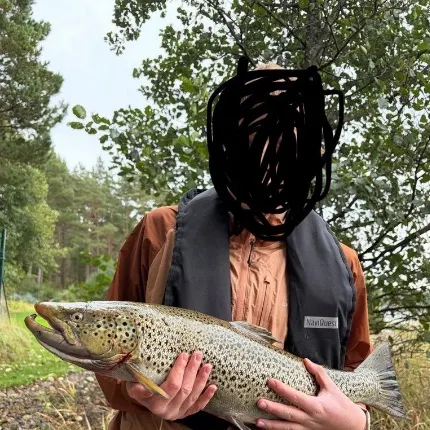 Sea trout caught on Fishbrain