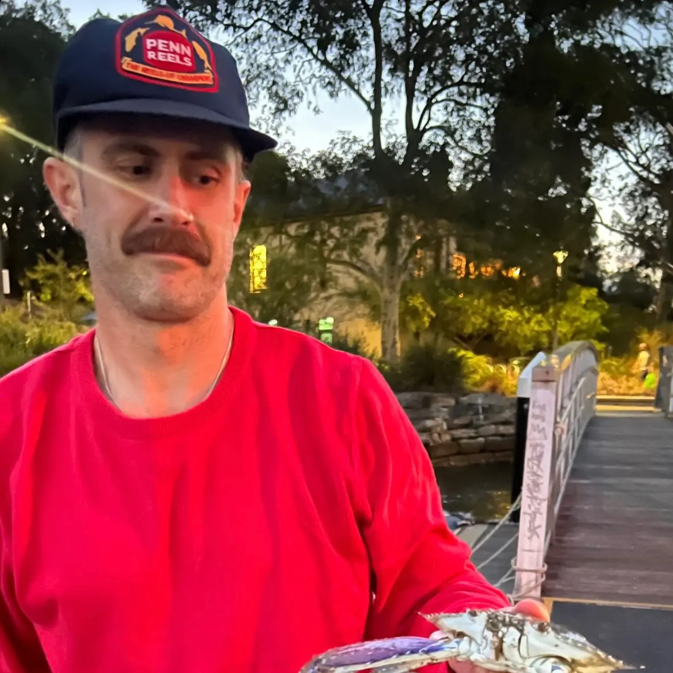 The most recent Blue swimmer crab catches on Fishbrain