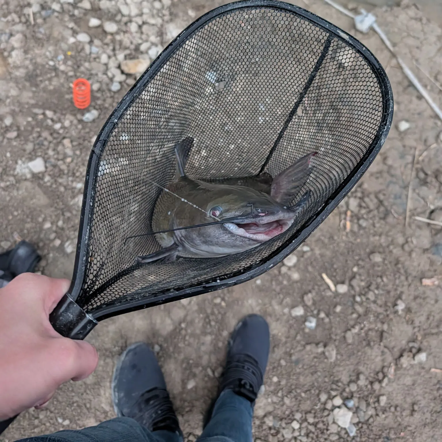 catch