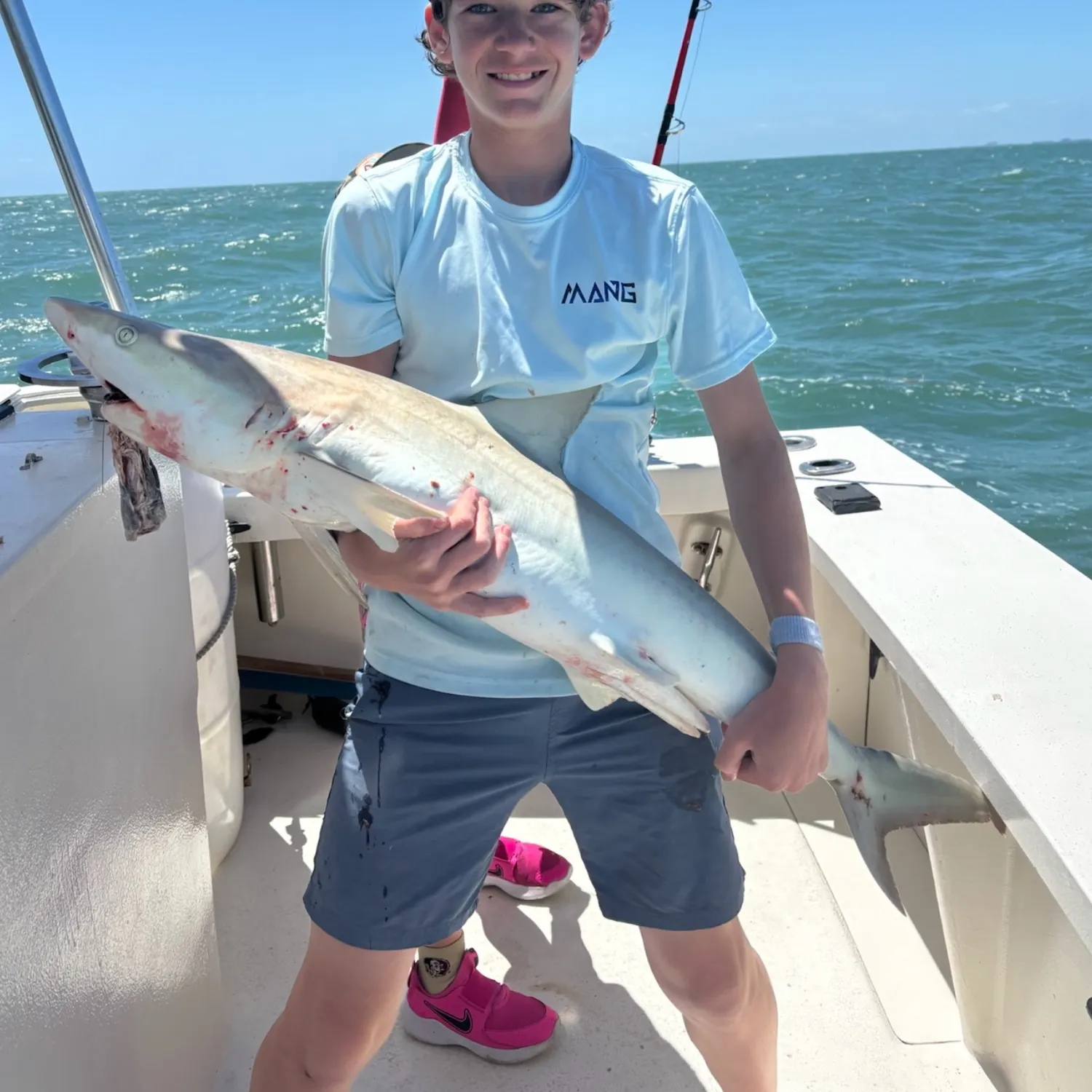 The most recent Blacknose shark catches on Fishbrain