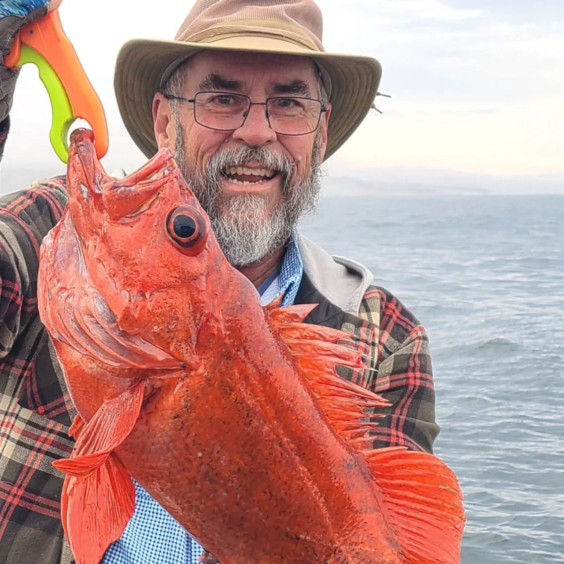 The most recent Vermilion rockfish catches on Fishbrain