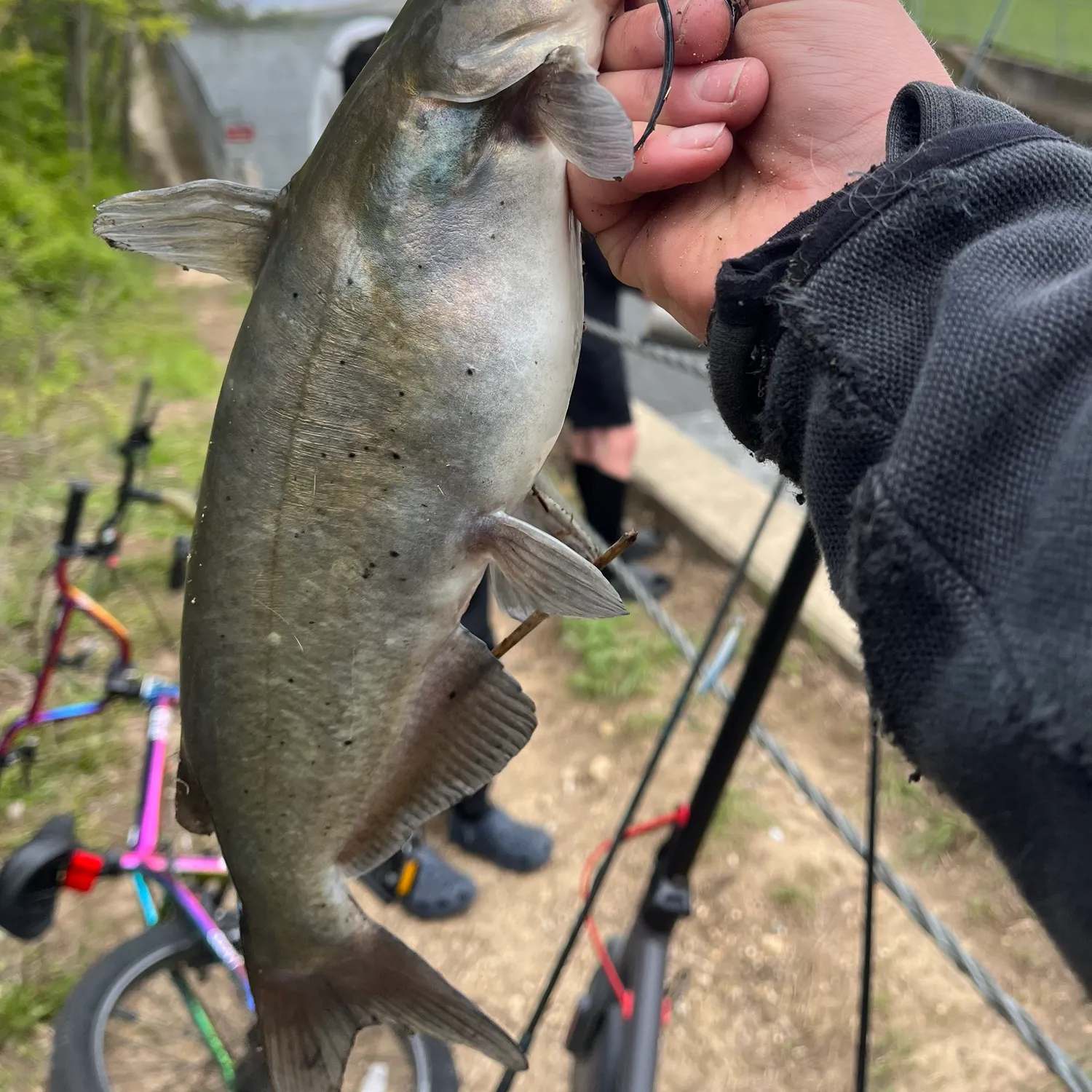 catch