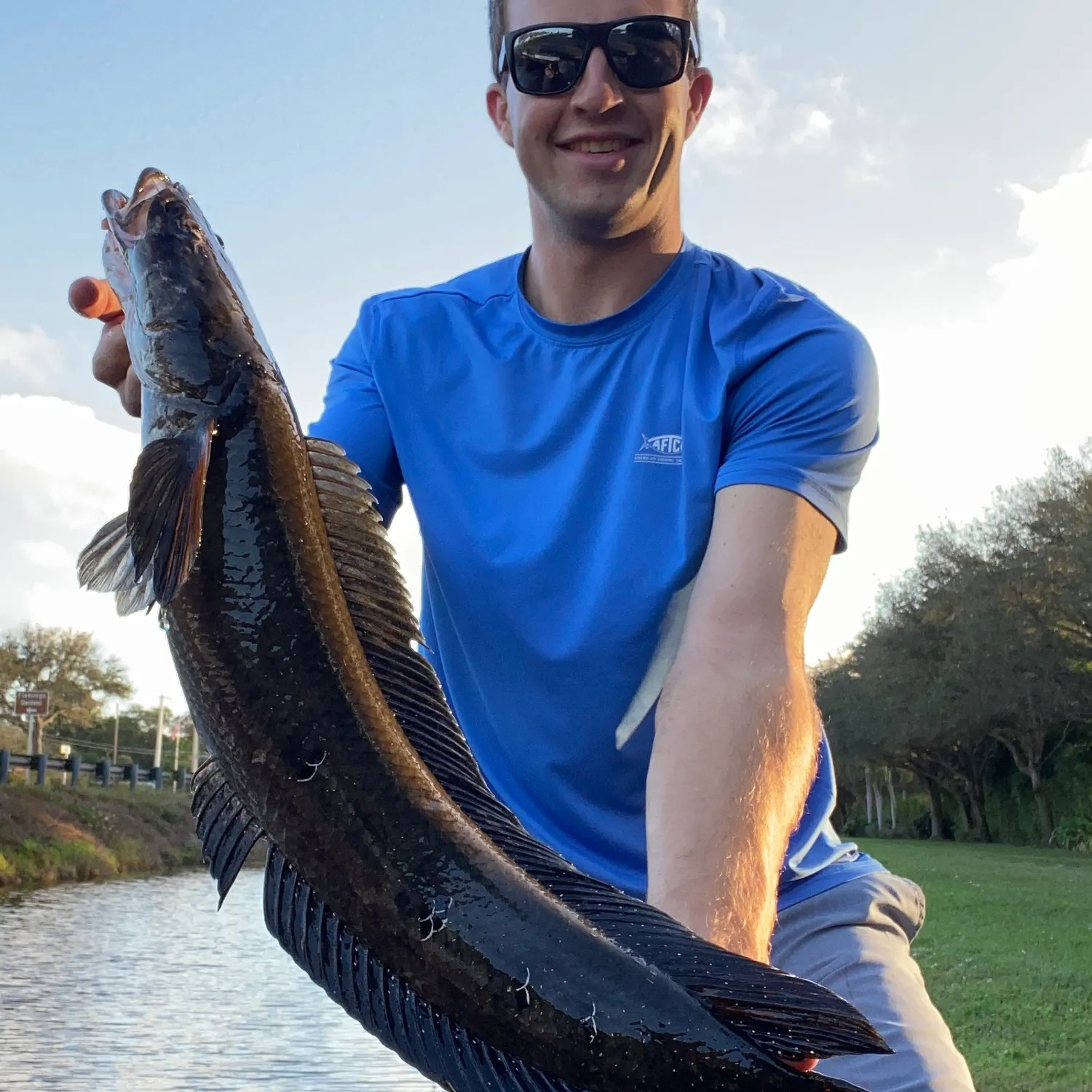 The most recent Bullseye snakehead catches on Fishbrain