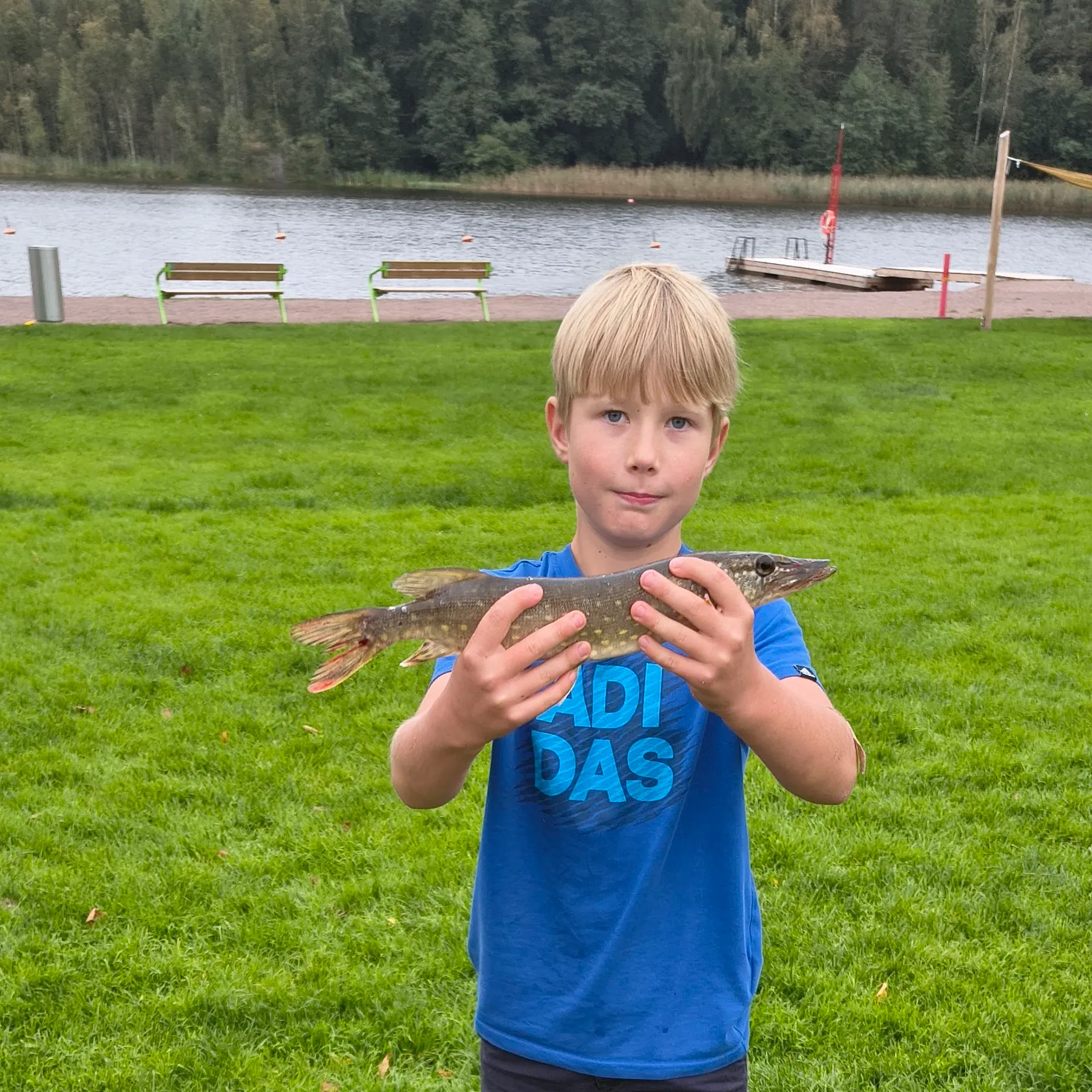 Northern pike caught on Fishbrain