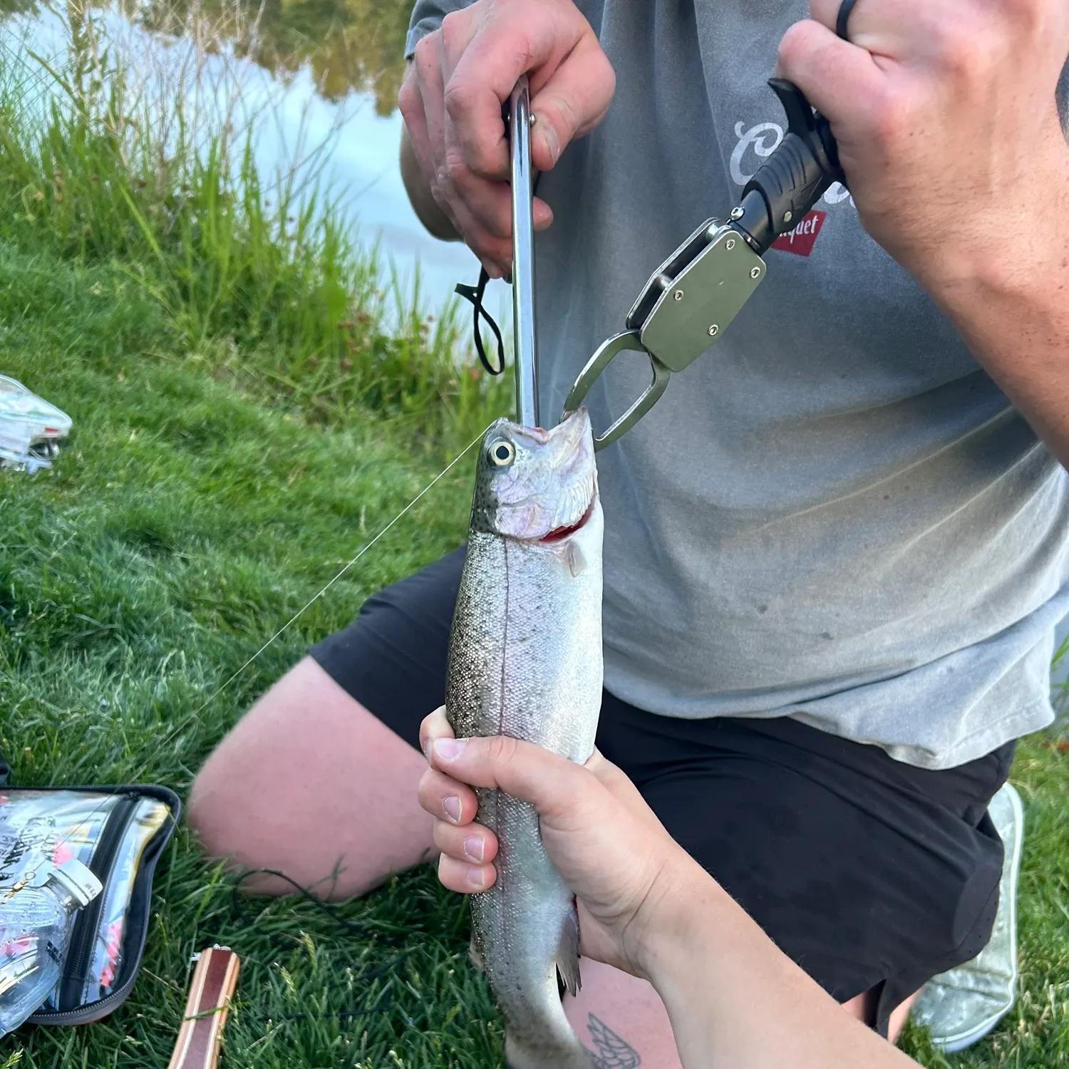 catch