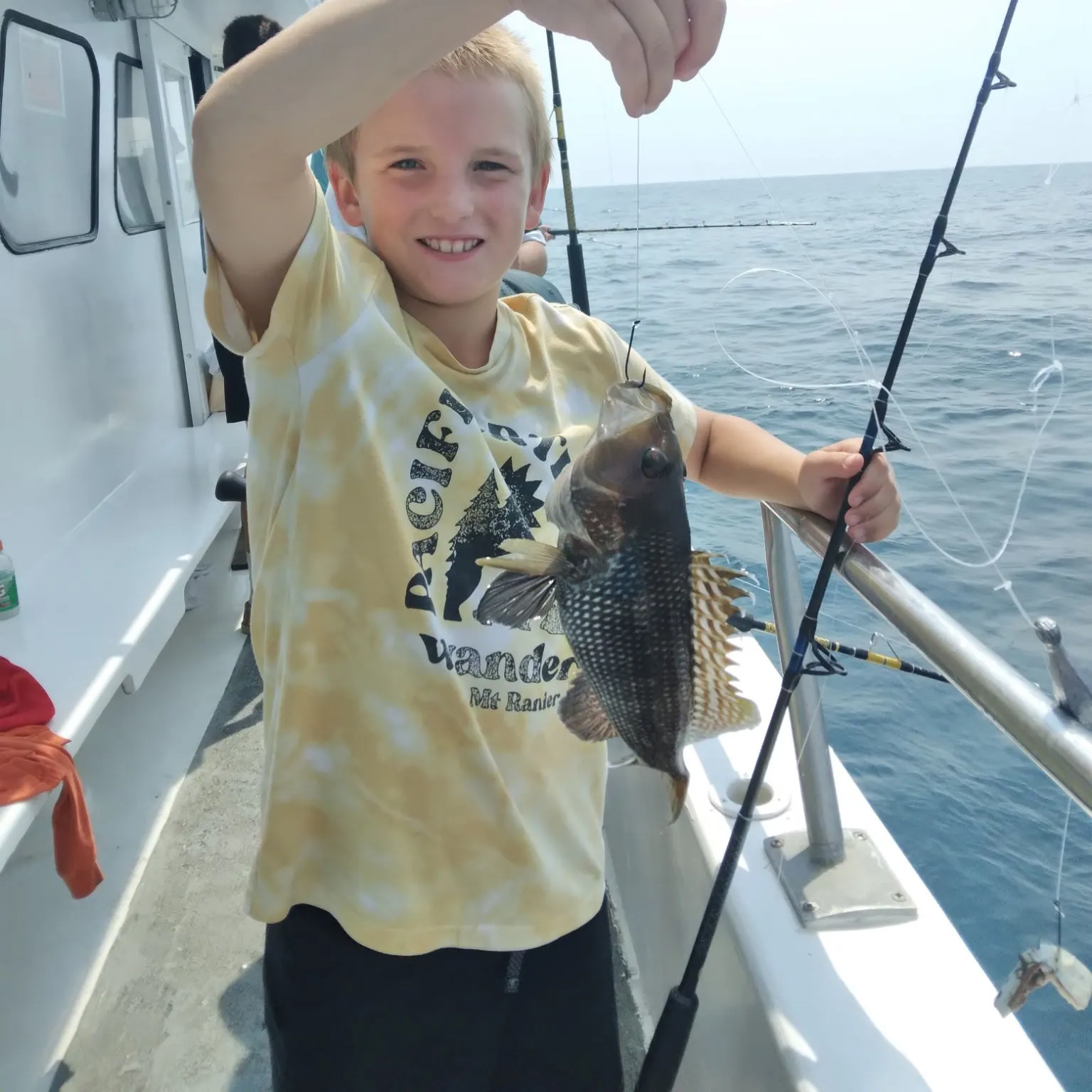 Black sea bass caught on Fishbrain