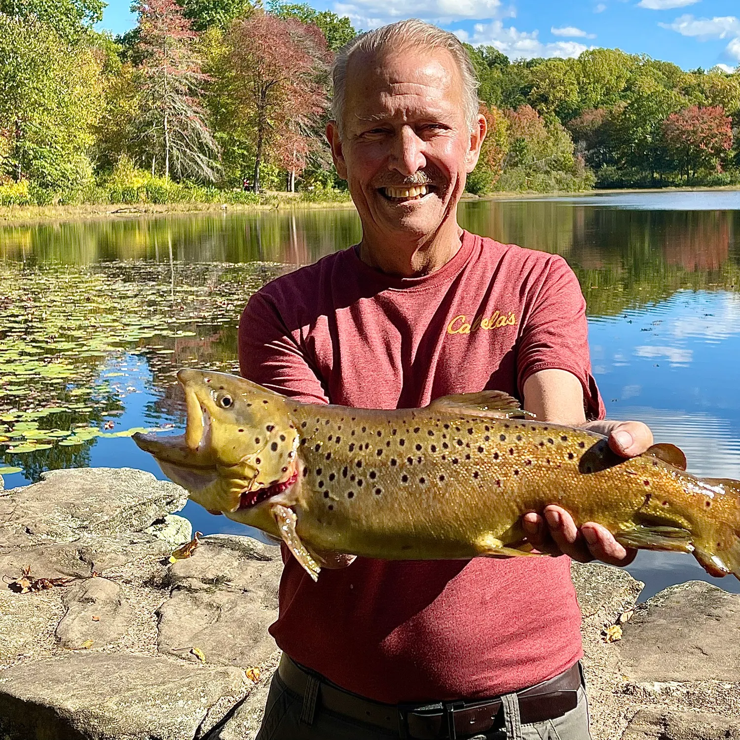 Brown trout caught on Fishbrain