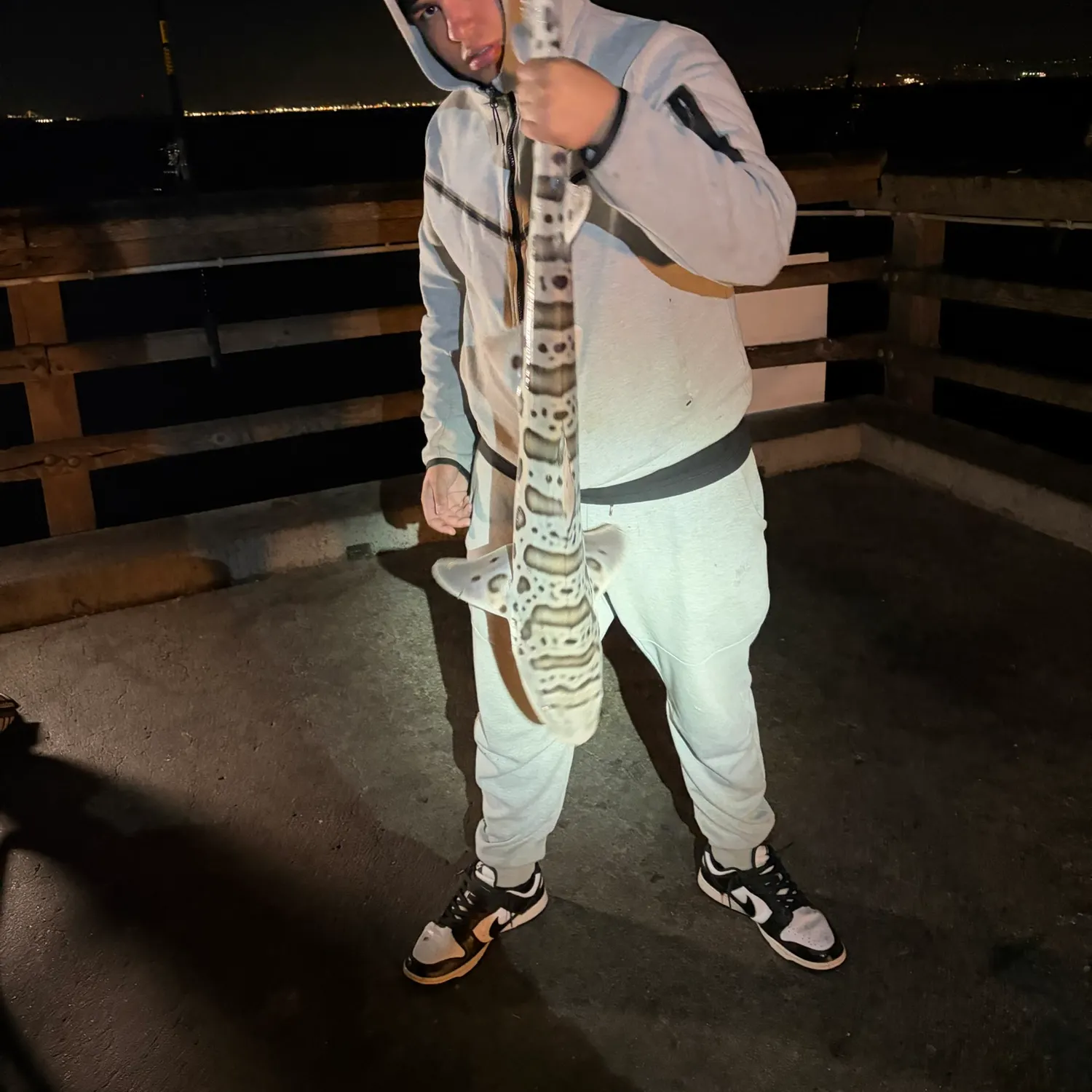 Leopard shark caught on Fishbrain