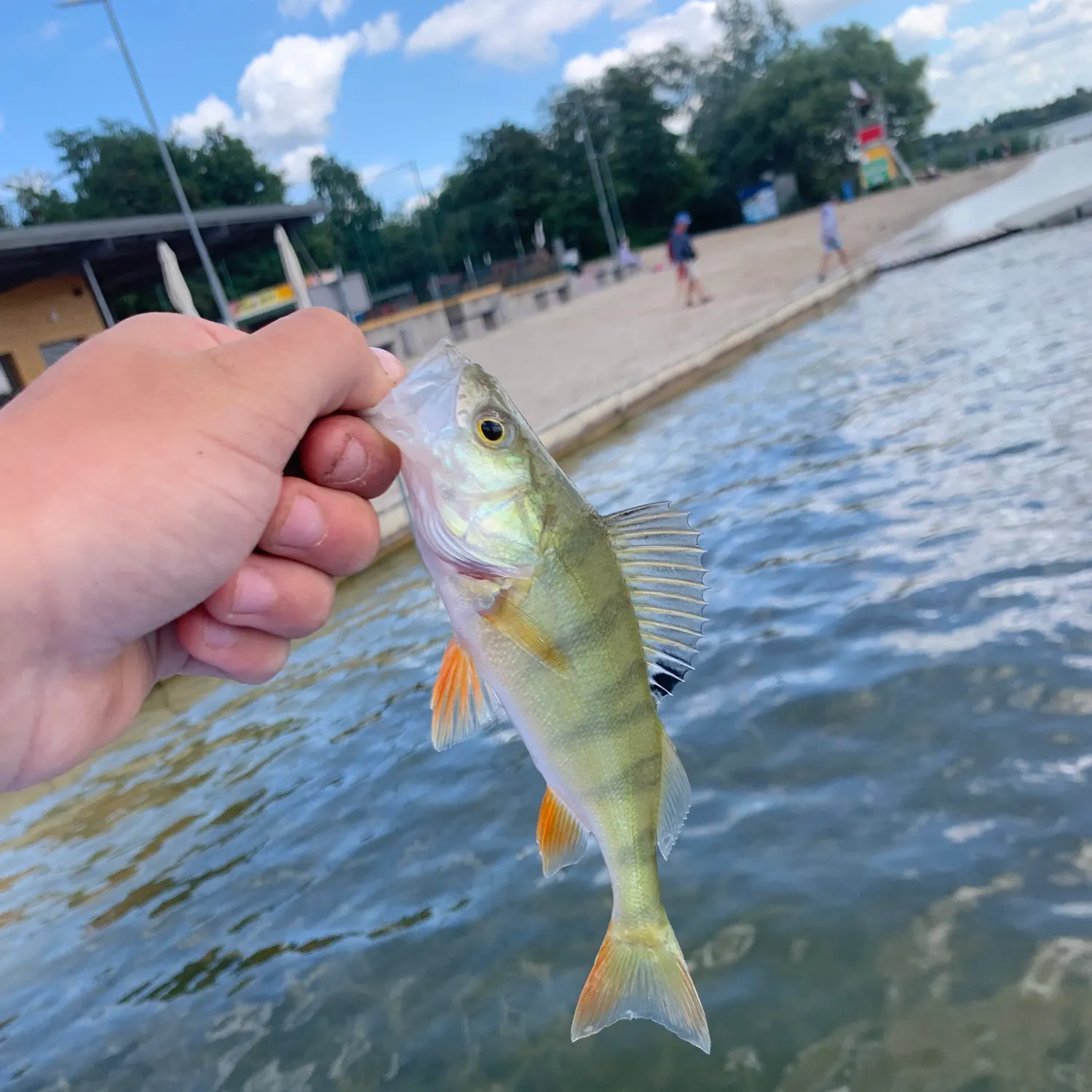catch