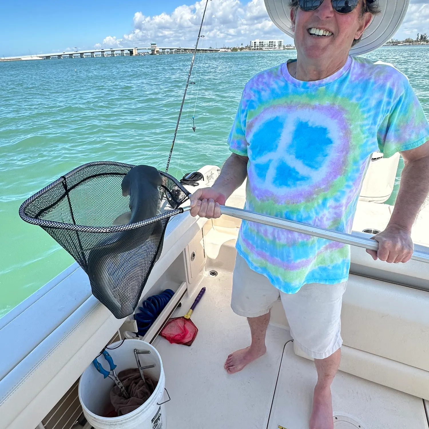 The most recent Bonnethead shark catches on Fishbrain