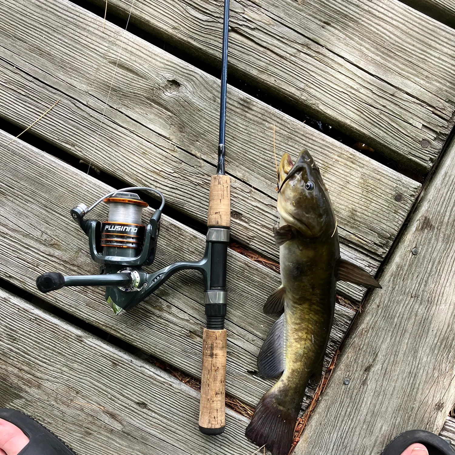 catch
