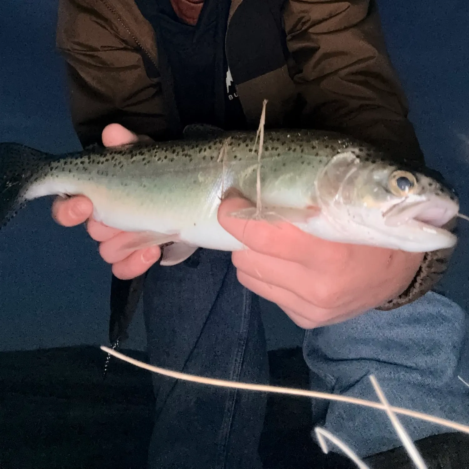 Rainbow trout caught on Fishbrain