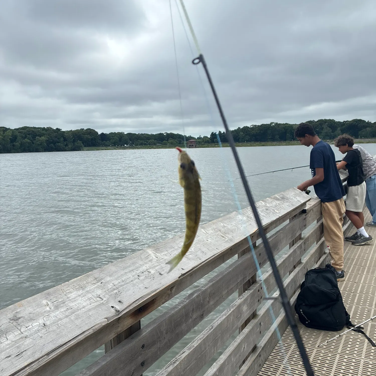 catch
