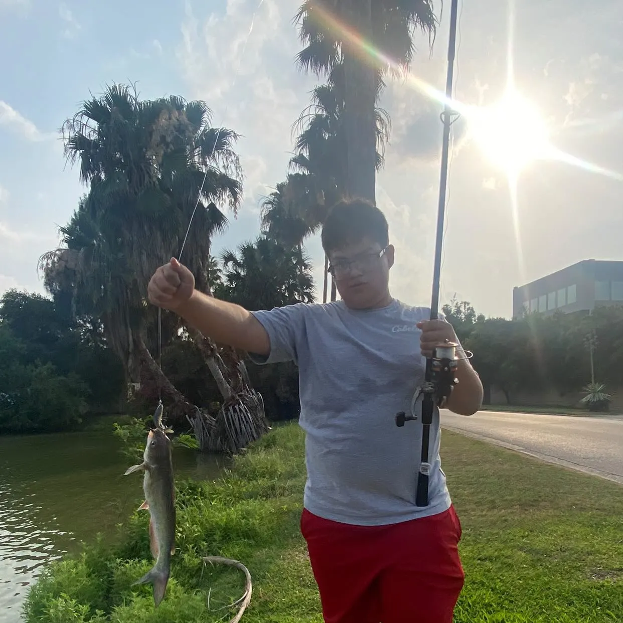 Channel catfish caught on Fishbrain