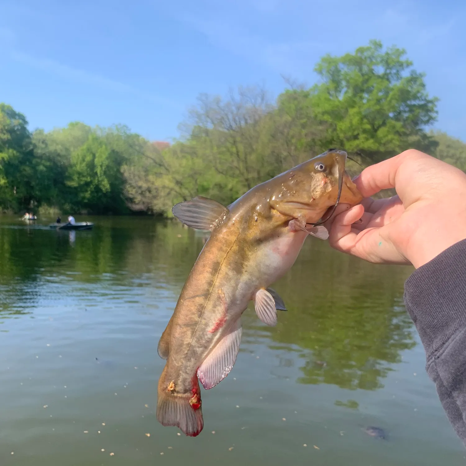 catch